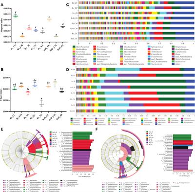 Rhizosphere microorganisms of Crocus sativus as antagonists against pathogenic Fusarium oxysporum